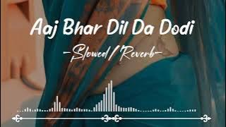 Bhar Dhil Da Dhodi Hamar Chhil Da (Slowed/Reverb) Song || Aaj Bhar Dhil Da Slowed Song