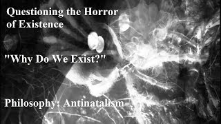 Life, Insanity & Our Asylum Planet