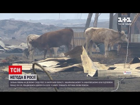 Новини світу: одразу