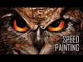 Speed Paint - Owl