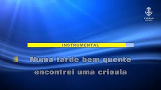 Video thumbnail of "♫ Demo - Karaoke - CRIOULA DE S. BENTO - Dany Silva"