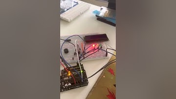 Final Project Demo video 1