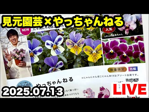 ■ やっちゃんねる【新作グッズ 4点セット】ゆるふわ園芸やっちゃんねる ◇【見元園芸×やっちゃんねる】三度目の正直!🙏(#^.^#)🙏 - YouTube