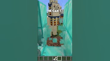 Superdog vs 100 Trader Llamas #minecraft