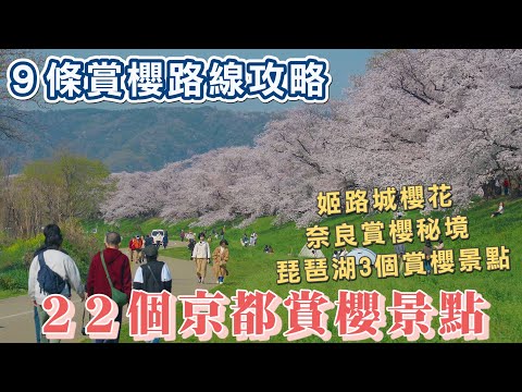 22個京都必去的櫻花景點 I 姬路城櫻花、奈良公園櫻吹雪、奈良賞櫻秘境佐保川 I 3個琵琶湖賞櫻景點 - 彥根城、長濱城、海津大崎 I 28個櫻花景點整理出9條賞櫻路線攻略