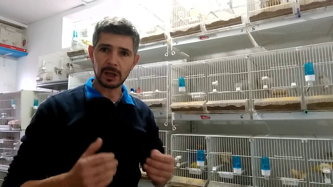 Mi opinión sobre embuchar o no. - YouTube