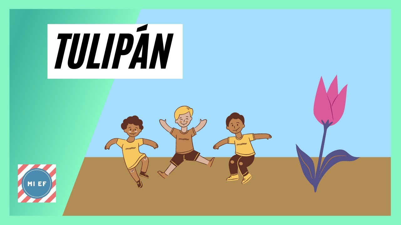 ¿Cómo es el juego Tulipan