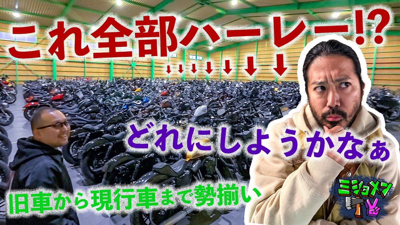 東京住み40代男性が乗るべきハーレーとは？