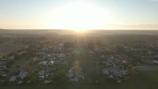 Menangle Colindobson4045