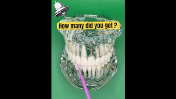 Quiz Dental questions knowledge