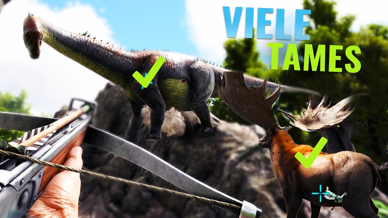 EXTREM VIELE TAMES IN DER CHALLENGE! - Part 2
