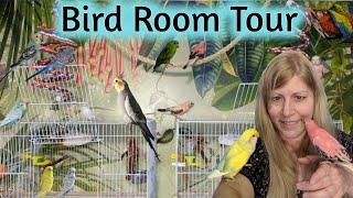 Bird Room Tour | Letting my Birds out for the First Time in their Newly Remodeled Bird Room