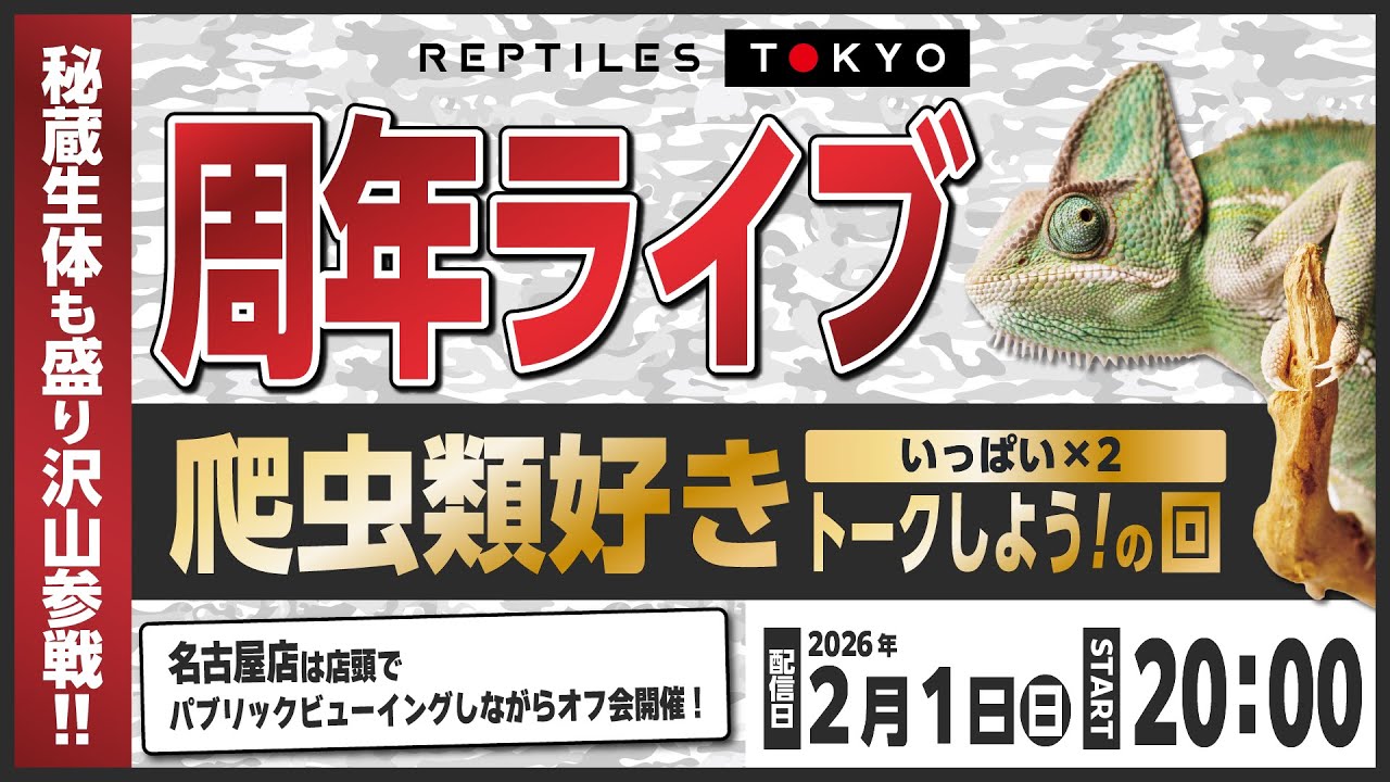 【秘蔵生体盛り沢山!】周年ライブ ー爬虫類好きいっぱいトークしよう！の回ー【Reptiles Tokyo】
