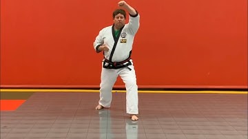 Tang Soo Do Basic Blocks