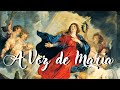 A voz de maria    la voce di maria    msica mariamaedejesus nossasenhora