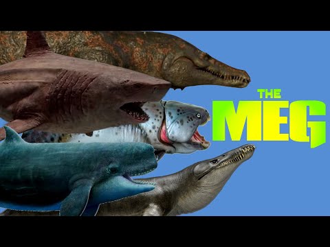 The 10 Giant Creatures In The Meg Novels & Movies - YouTube