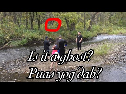 Video: Puas yog phenol react nrog dej?