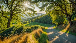 Relaxing Music Healing Stress, Anxiety and Depressive States 🌿 Heal Body and Soul