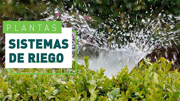 ¿Cuál es el mejor sistema de riego y porqué?