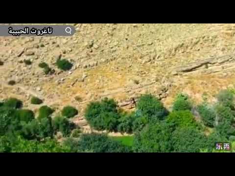 ماشالله على هذه العروسة كم هي جميلة دوار تاغروت إقليم بولمان  