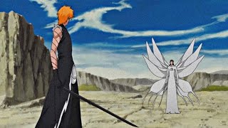 Ichigo Vs Aizen Urahara Seals Aizen Bleach Full Fight