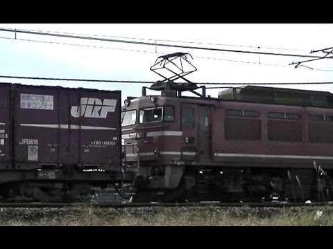EF81 633 高速貨物94ﾚ　札幌貨物ターミナル→梶ヶ谷ターミナル