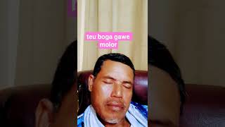 teu boga gawe # molor