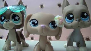 LPS~TRNDSTTR~Music Video