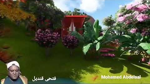 صوت جميل وتلاوة إبداعية رايعه لصوت الكروان الشيخ فتحى قنديل وما تيسر من آيات الذكر الحكيم رحمه الله