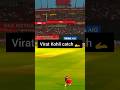 Virat Kohli took a stunning catch #cricket #ipl #trending #sports