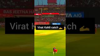Virat Kohli took a stunning catch #cricket #ipl #trending #sports