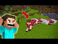 MINECRAFT But TNT Spawns Every 10 Seconds