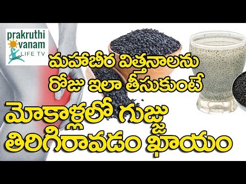 Mahabeera Seeds benefits| Wonder Medicine For Knee Joint Pains| మహాబీర గింజలు Prakruthivanamlifetv