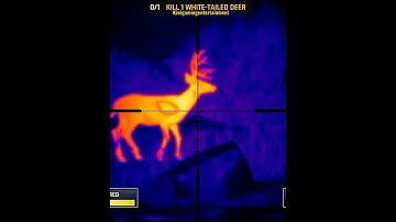 Deer Hunter World  :The Hunt Gameplay Walkthrough Android,ios part 1 #shorts