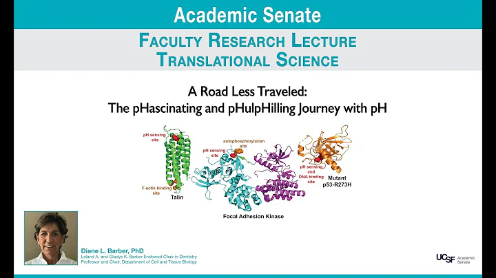 Senate's Eleventh Annual Faculty Research Lecture ...