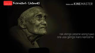 Story WA terbaru, nasehat orang tua