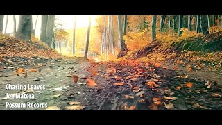 "Chasing Leaves" - Joe Matera