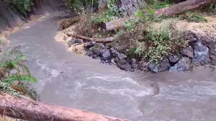 Douglas Creek Flash Flood