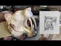 Carving An Apex Predator Sabertooth tiger