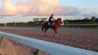 Gunnevera works at GPW 7/15/2017