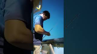 Download Lagu #cover #reggae #song MP3