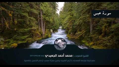 سورة عبس || الشيخ المقرئ محمد أحمد الجعيدي رحمه الله