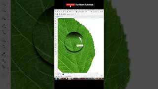 How to make water drop in Corel Draw   Corel draw best tricks    Graphic design full course
