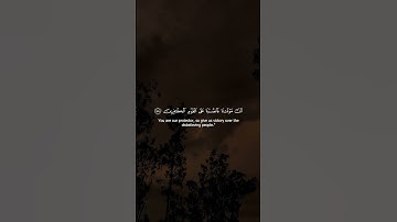 سورة البقرة - الآية 286 - تلاوة ماهر المعيقلي