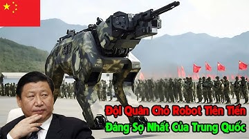 Trung Quốc Tung Ra Đội Quân Chó Robot Tiên Tiến Đáng Sợ Nhất Của Mình
