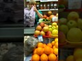 МОШЕННИКИ. Обман барыгой при покупке продуктов