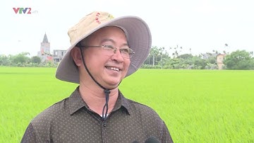 ỨNG DỤNG CÔNG NGHỆ CAO TRONG SẢN XUẤT LÚA GẠO