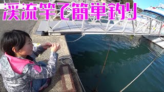 近所の堤防を短い渓流竿で釣りしてみたら驚きの楽しさだった！(Vol.154)