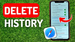 How to Delete Safari History on iPhone - Full Guide