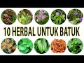10 herbal untuk mengatasi batuk